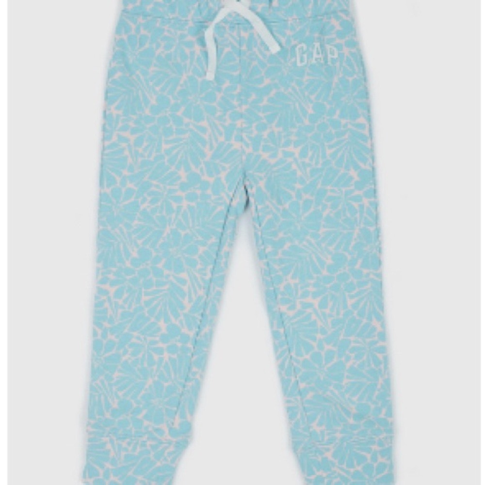 Baby GAP Light Blue Floral Pajama Pants